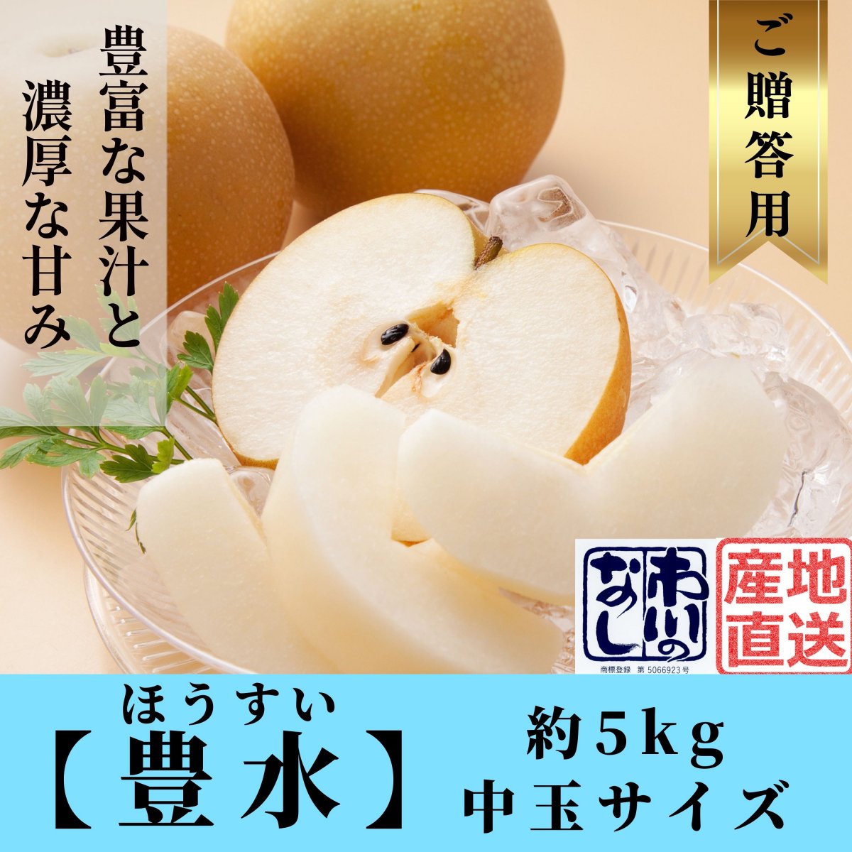 特集商品画像