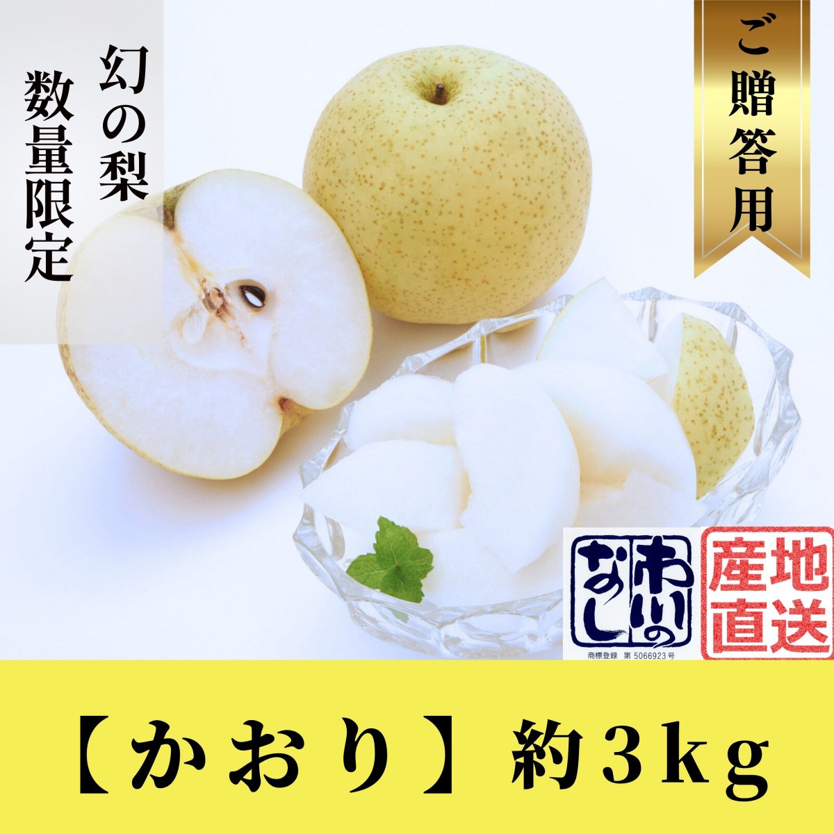 特集商品画像