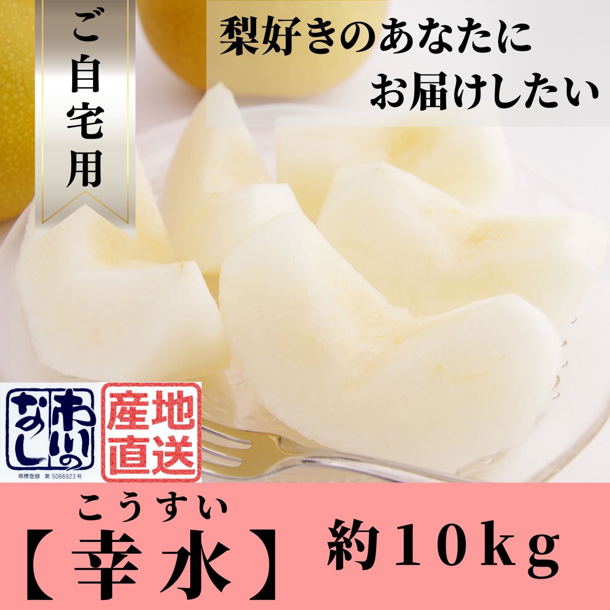 特集商品画像