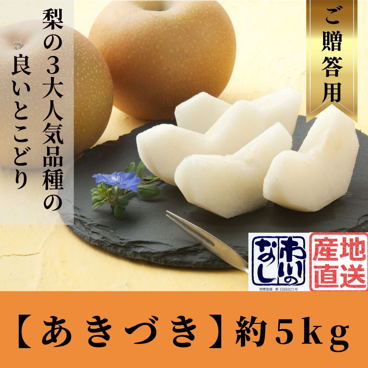 特集商品画像