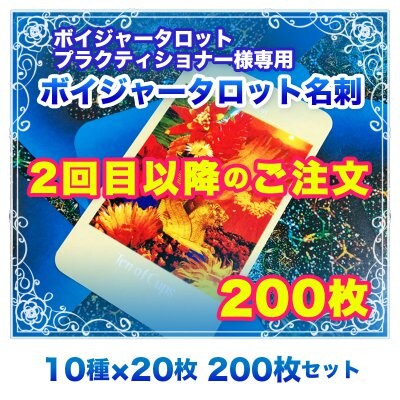 【2回目以降のご注文】ボイジャー名刺 200枚セット(10種類×20枚) ※送料無料|※修正なしの増刷に限ります