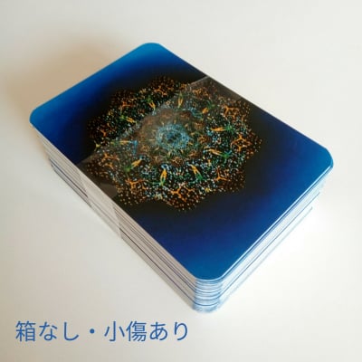 【B品 箱なし・解説書なし・小傷あり】【送料無料】箱なしボイジャータロット 通常版サイズ |郵便で発送