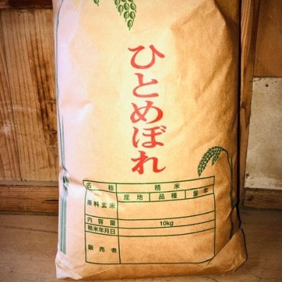 【白米10Kg】農家直送一等米 宮城県産R2年新米ひとめぼれ