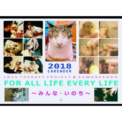 送料無料)2018 命の授業チャリティーカレンダー