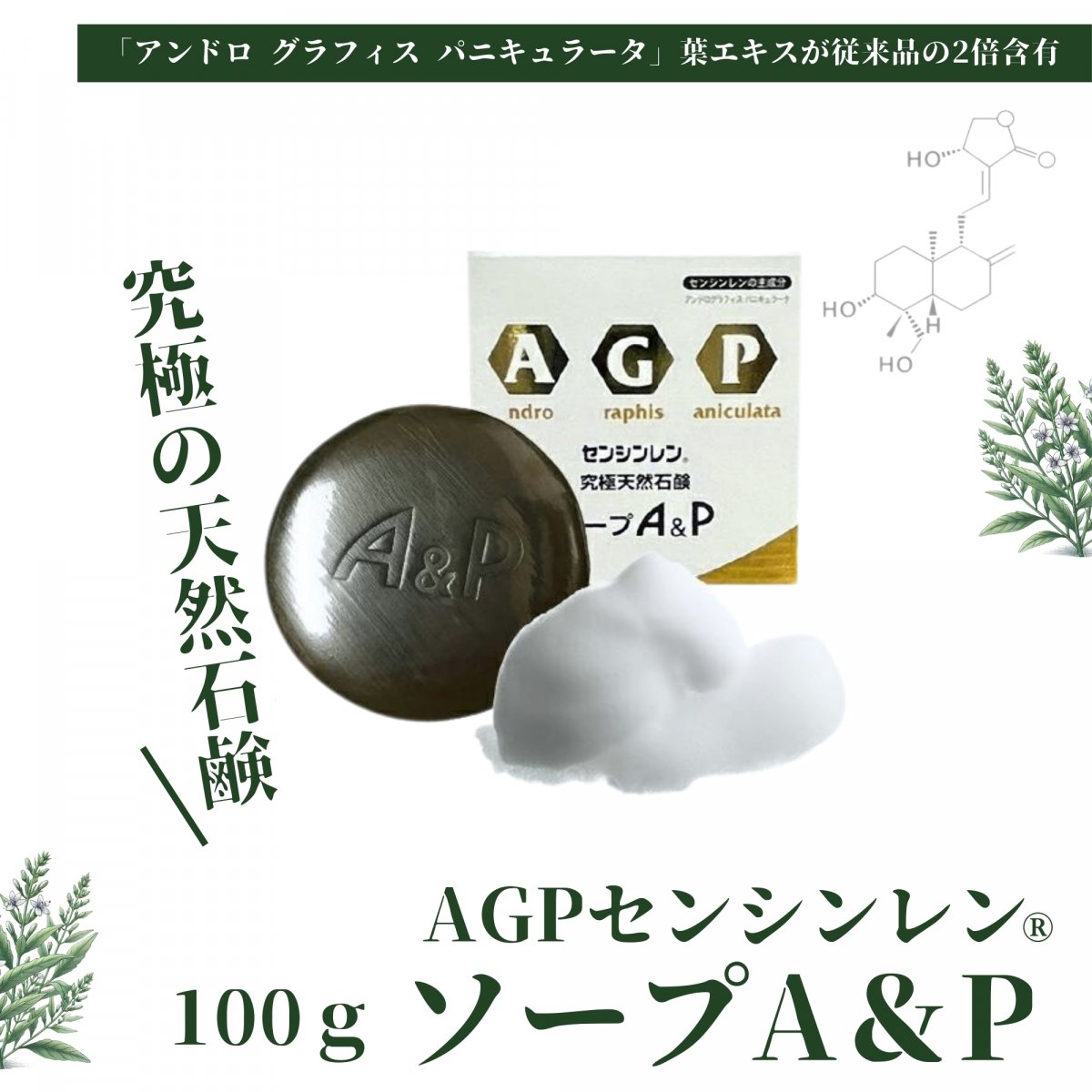 高級A&Pソープ センシンレン石鹸 100g [驚異のハーブ・センシンレン(穿心蓮)]