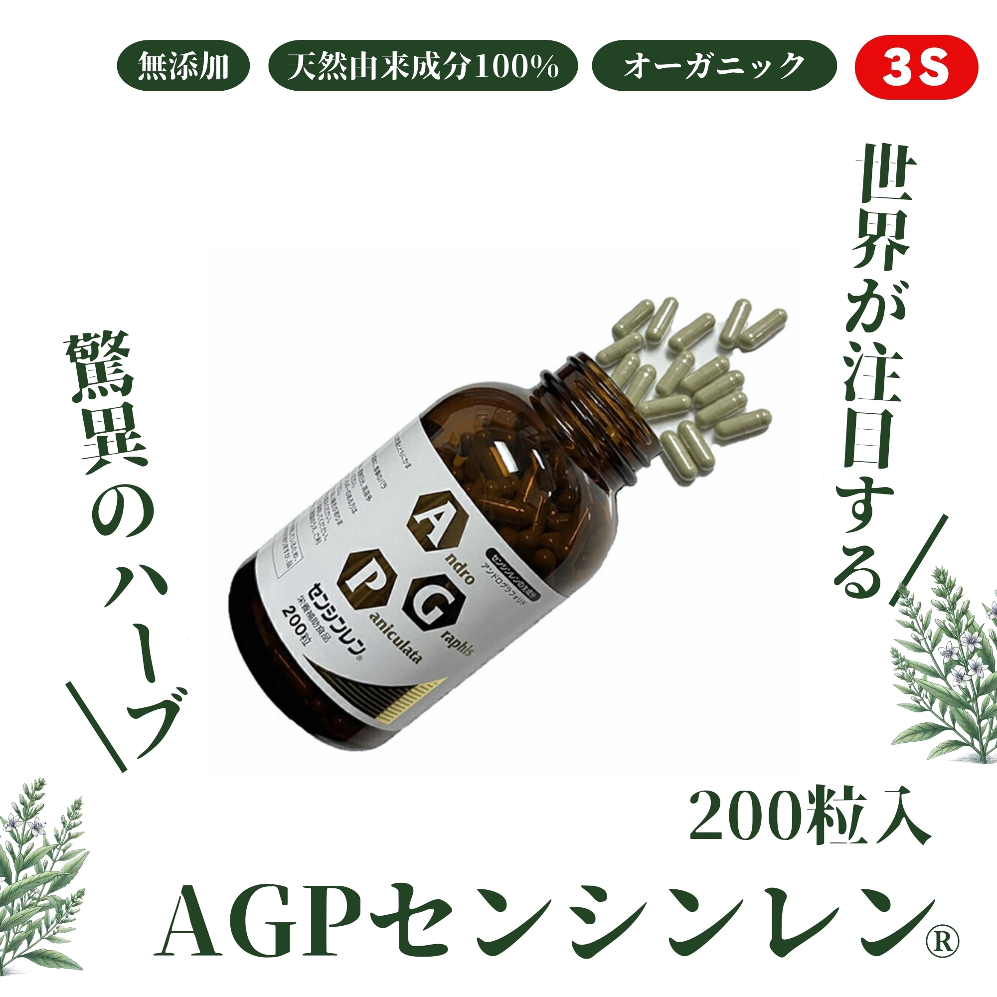 200粒】 AGPセンシンレン® 栄養補助食品 サプリメント3S 国内製造 [驚異のハーブ・センシンレン(穿心蓮)]