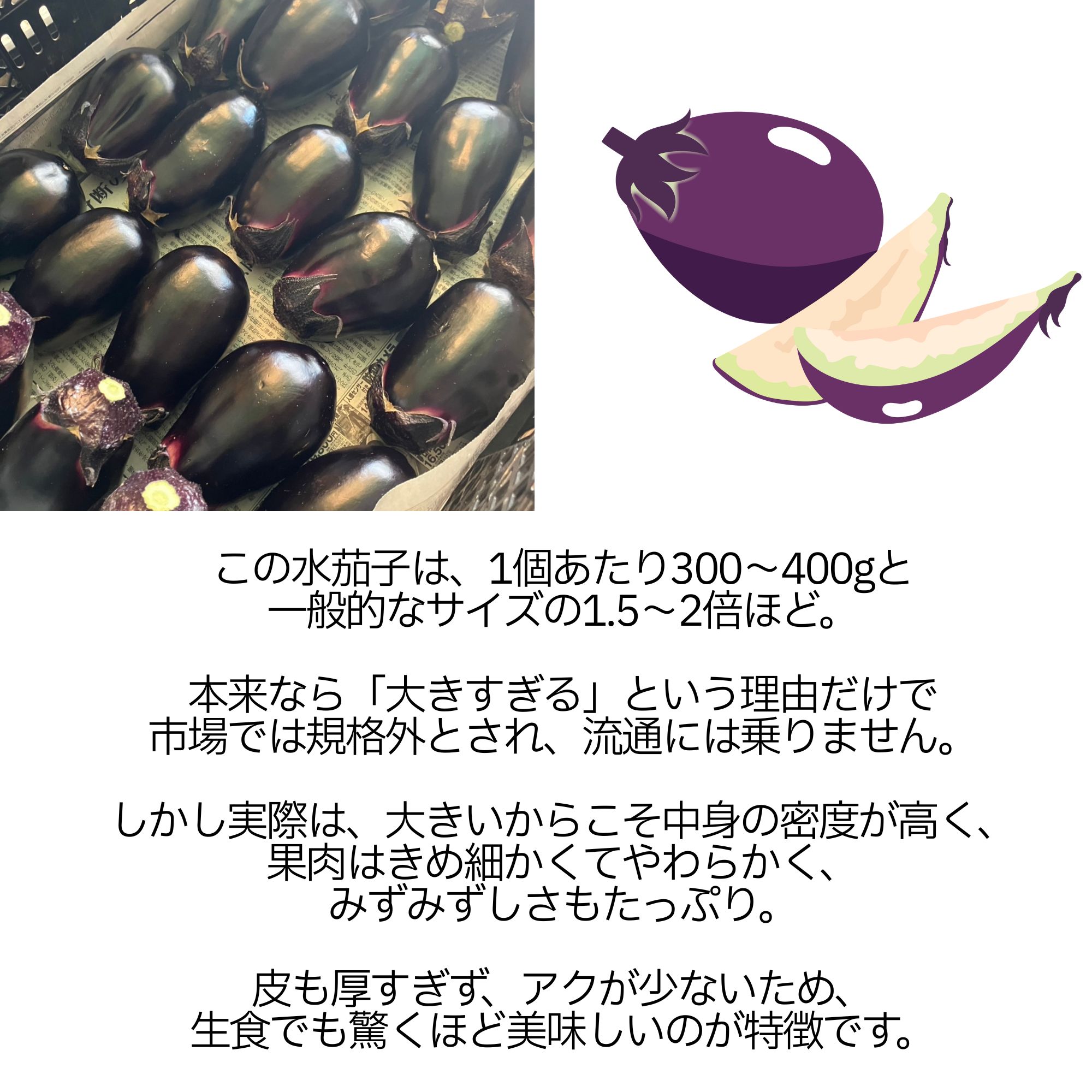 岩泉町産松茸