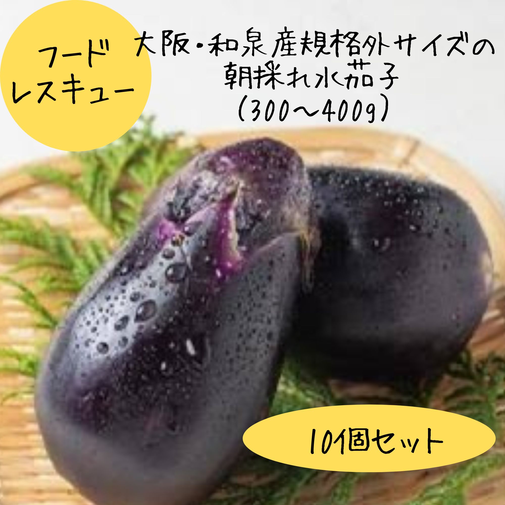 泉州産水なす/フードレスキュー/大阪・和泉産/規格外サイズの朝