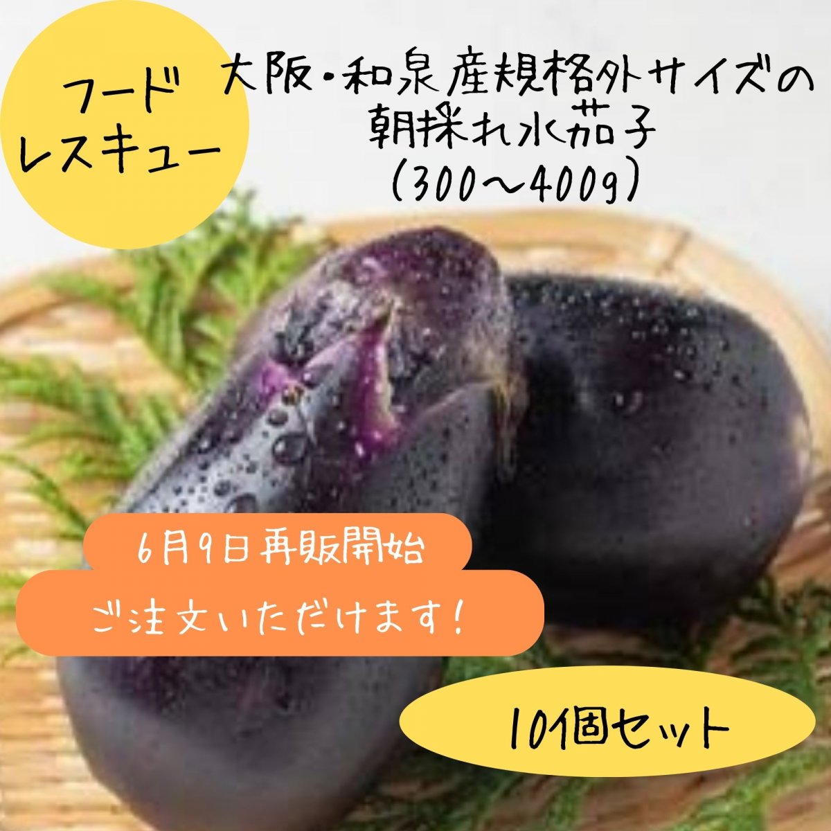 泉州産水なす/フードレスキュー/大阪・和泉産/規格外サイズの朝採れ水茄...