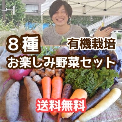 送料無料！無農薬野菜お楽しみセット(8種)
