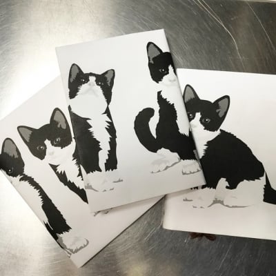 本棚に子猫ちゃん/子猫のブックカバー/6枚セット