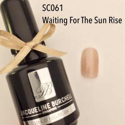 【セルフネイルに簡単!】カラージェル SC061 Waiting For Sun Rise