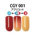 魔法みたい!?温度で色が変わるカラーチェンジングジェル CGY001