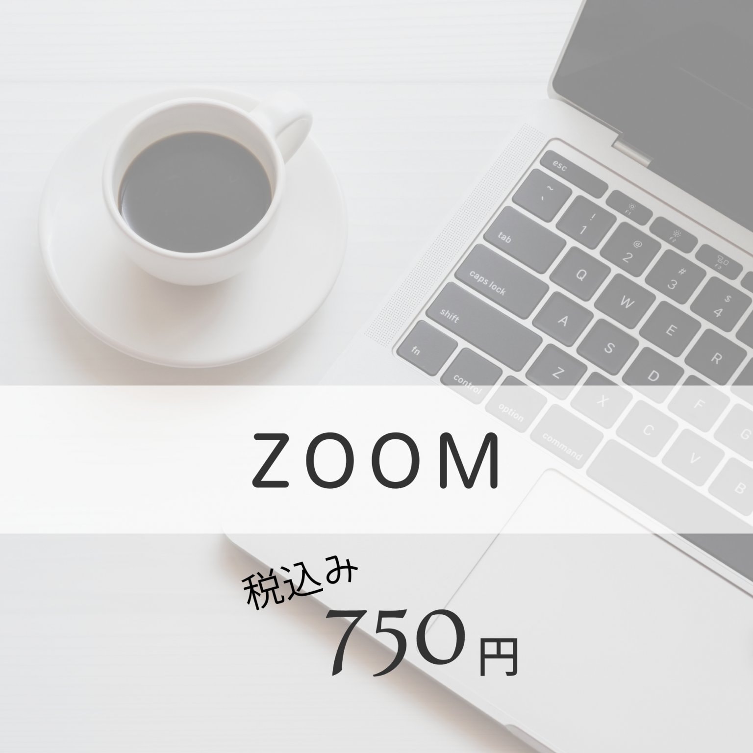 zoom　office590