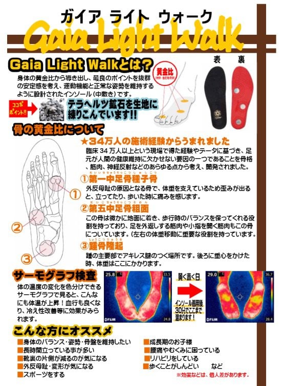 Gaia Light Walk(ガイアライトウォーク)