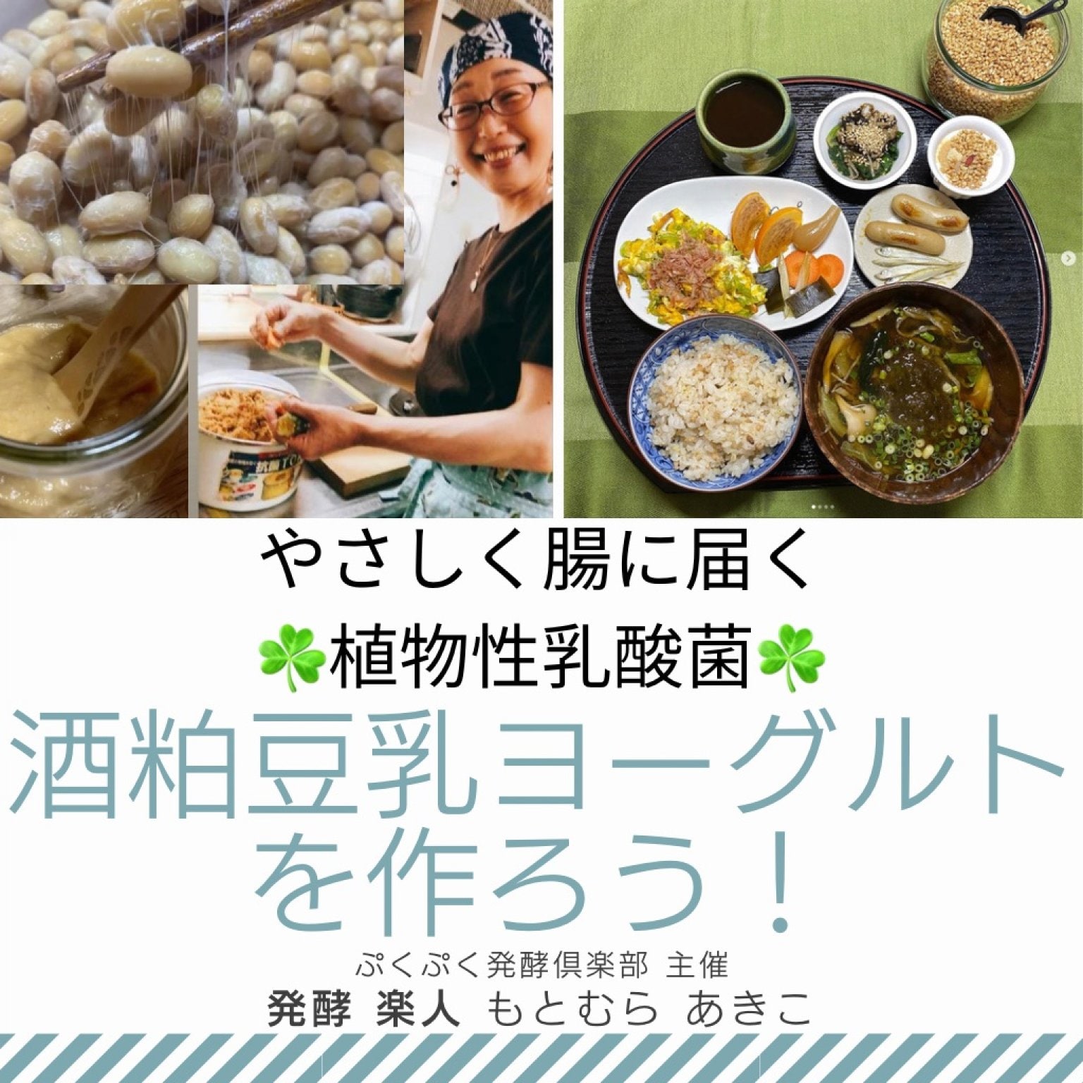 「酒粕豆乳ヨーグルト」を作ろう♪オンラインワークショップ☆日本人の腸にやさしく届く植物性乳酸菌 | ぷくぷく発酵倶楽部
