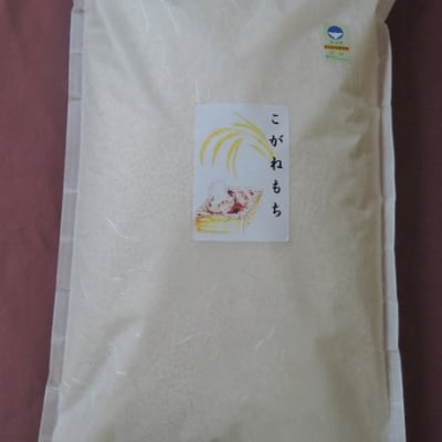 こがねもち|玄米|魚沼産|棚田|5kg