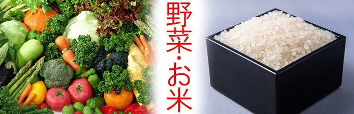 送料無料!![飲食店様用]埼玉県産精米コシヒカリ　100kg＋季節の野菜
