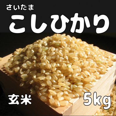 送料無料!! 玄米5kg コシヒカリ