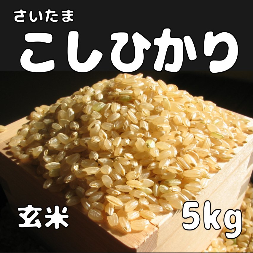 送料無料!!  玄米5kg コシヒカリ