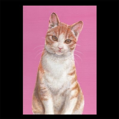 ポストカード【キャンディ】2枚セット