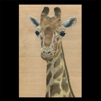 ポストカード【キリン】2枚セット