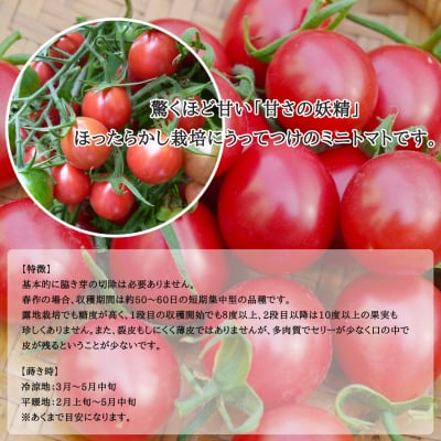 選べる野菜カプセルaグループ 水やり放ったらかしで安全野菜を自分で簡単に作れたら良くないですか 水やりの心配が無い 手間いらずで出来るオーガニックプランター 水やり心配なし 放ったらかしで安心野菜が どんどん育つ世界初の新技術 電源は不要 自動野菜栽培