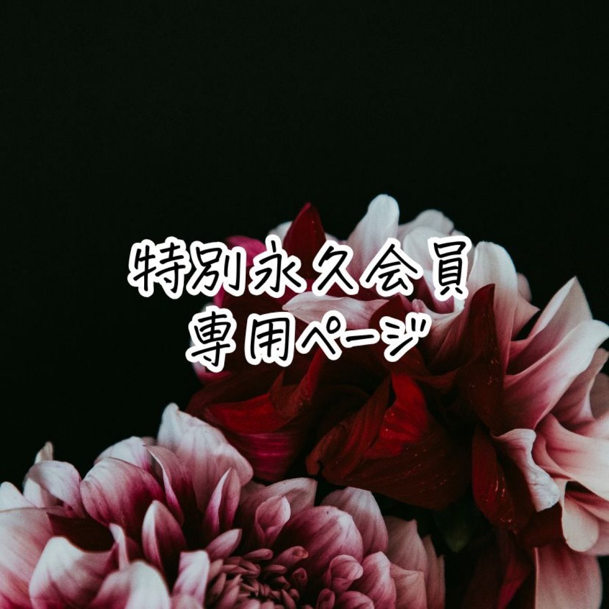 [永久会員専用]①