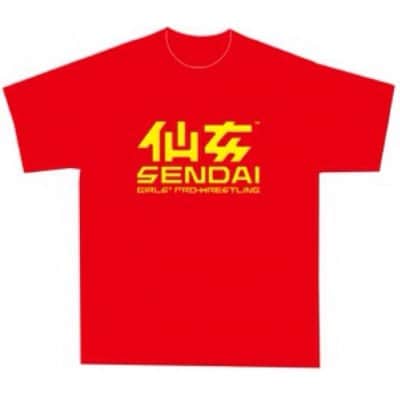 仙女キッズTシャツ!