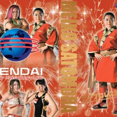 センダイガールズプロレスリング クリアファイル