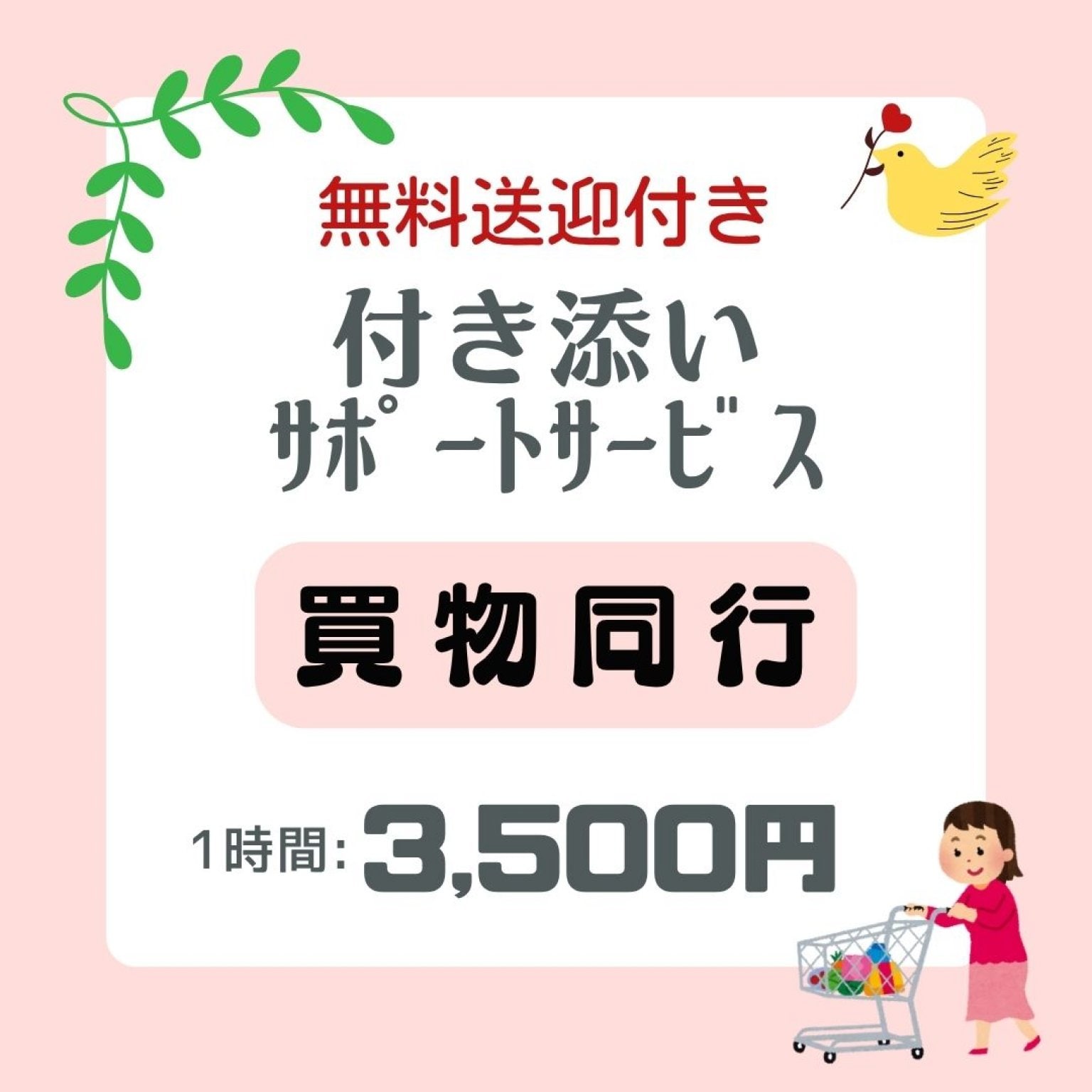 お買物サポート/《60分 3,500円》無料送迎付き