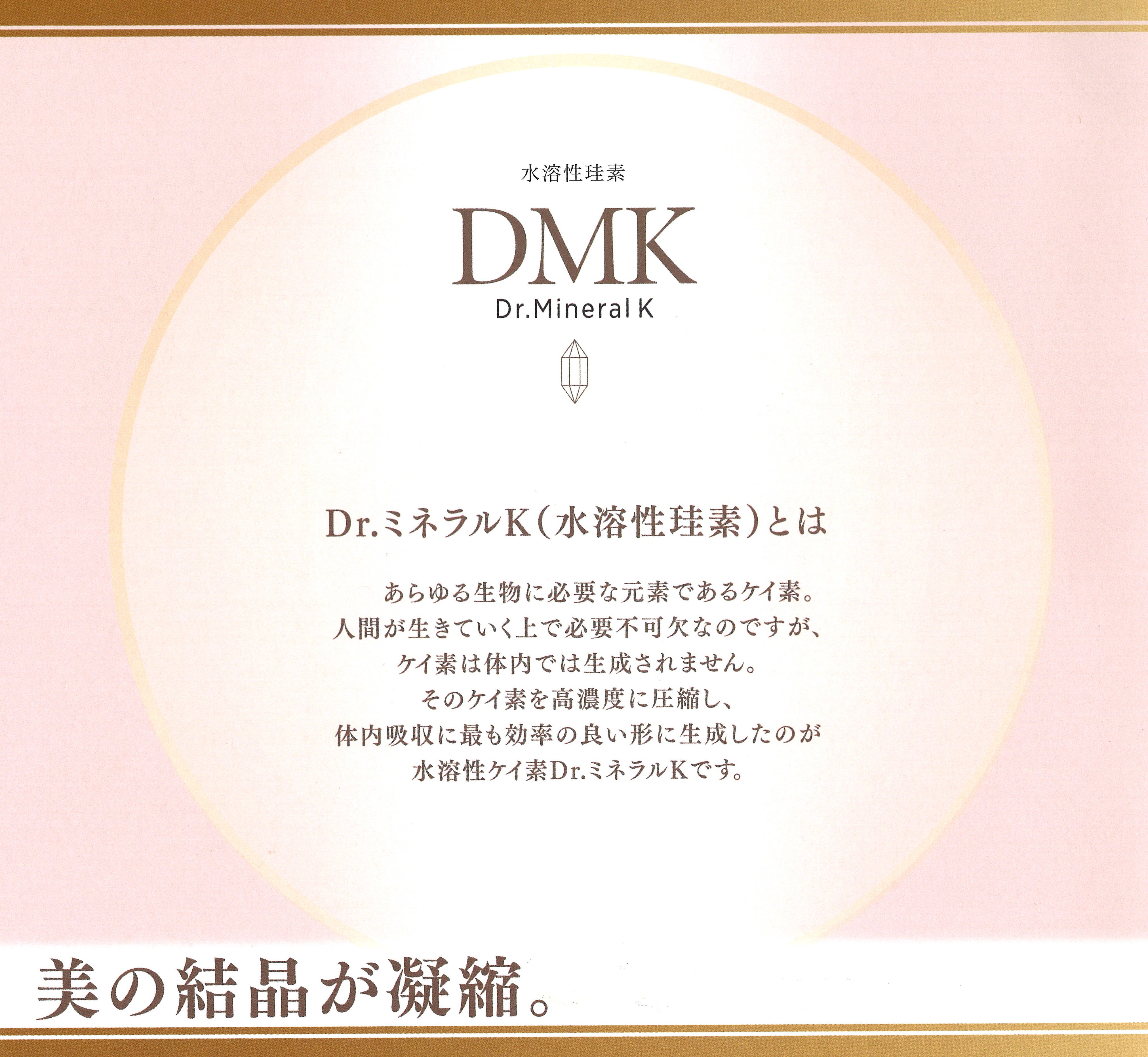 Dr.Mineral K (ドクターミネラルK) DMK 水溶性珪素