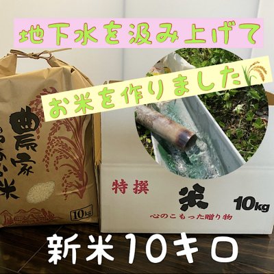 兵庫県産【新米コシヒカリ】こだわりの米(10㎏)整骨院の先生が水にこだわり抜いて作ったお米!
