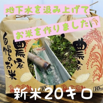 兵庫県産【新米コシヒカリ】こだわりの米(20㎏)整骨院の先生が水にこだわり抜いて作ったお米! 10㎏×2袋