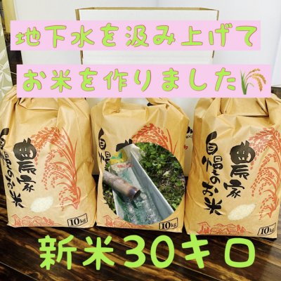 兵庫県産【新米コシヒカリ】こだわりの米(30㎏)整骨院の先生が水にこだわり抜いて作ったお米! 10㎏×3袋
