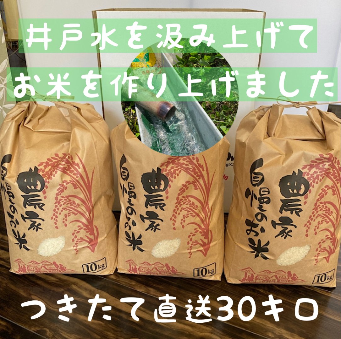 新米！兵庫県産（30㎏)【コシヒカリ】こだわりの米整骨院の先生が水にこだわり抜いて作ったお米! 10㎏×3袋 精米つきたて直送！令和6年産コシヒカリ