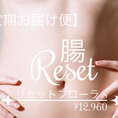 【定期お届け便】腸リセットカウンセリング S