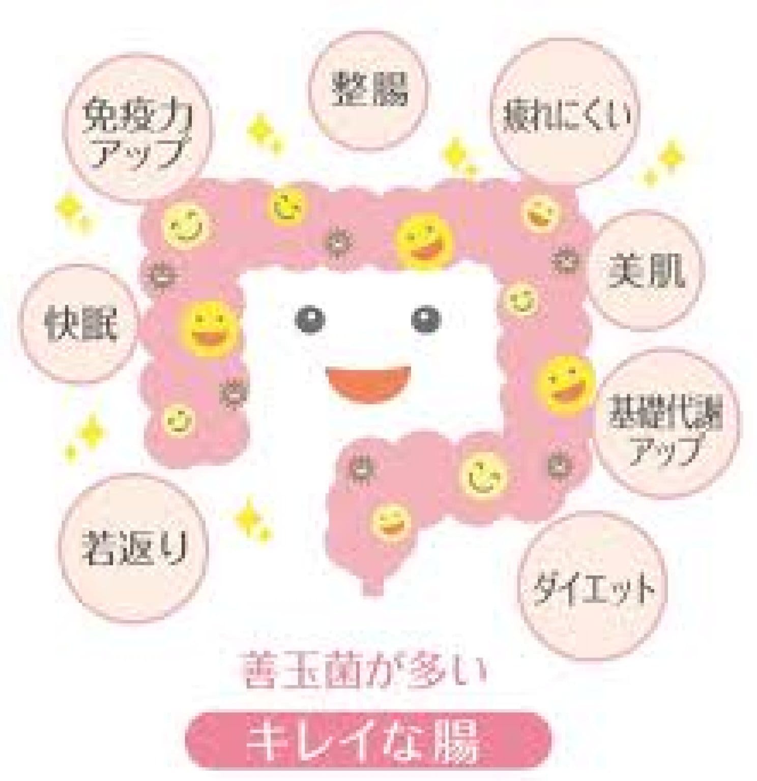 月のリズムで整えるやさしいプチファスティング体験会