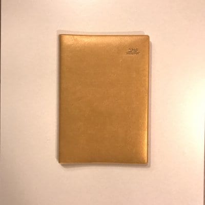 スペシャルプライス!【SQ教育のしつけに最適!】アイアイ手帳(ゴールド)