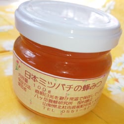 【八ヶ岳産 100%純粋】日本ミツバチのハチミツ (100g お試しサイズ)