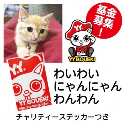 わいわい にゃんにゃん わんわん 支援基金