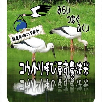 【福井県越前地方産】無農薬コシヒカリ 玄米1kg 【店頭受け渡し用】