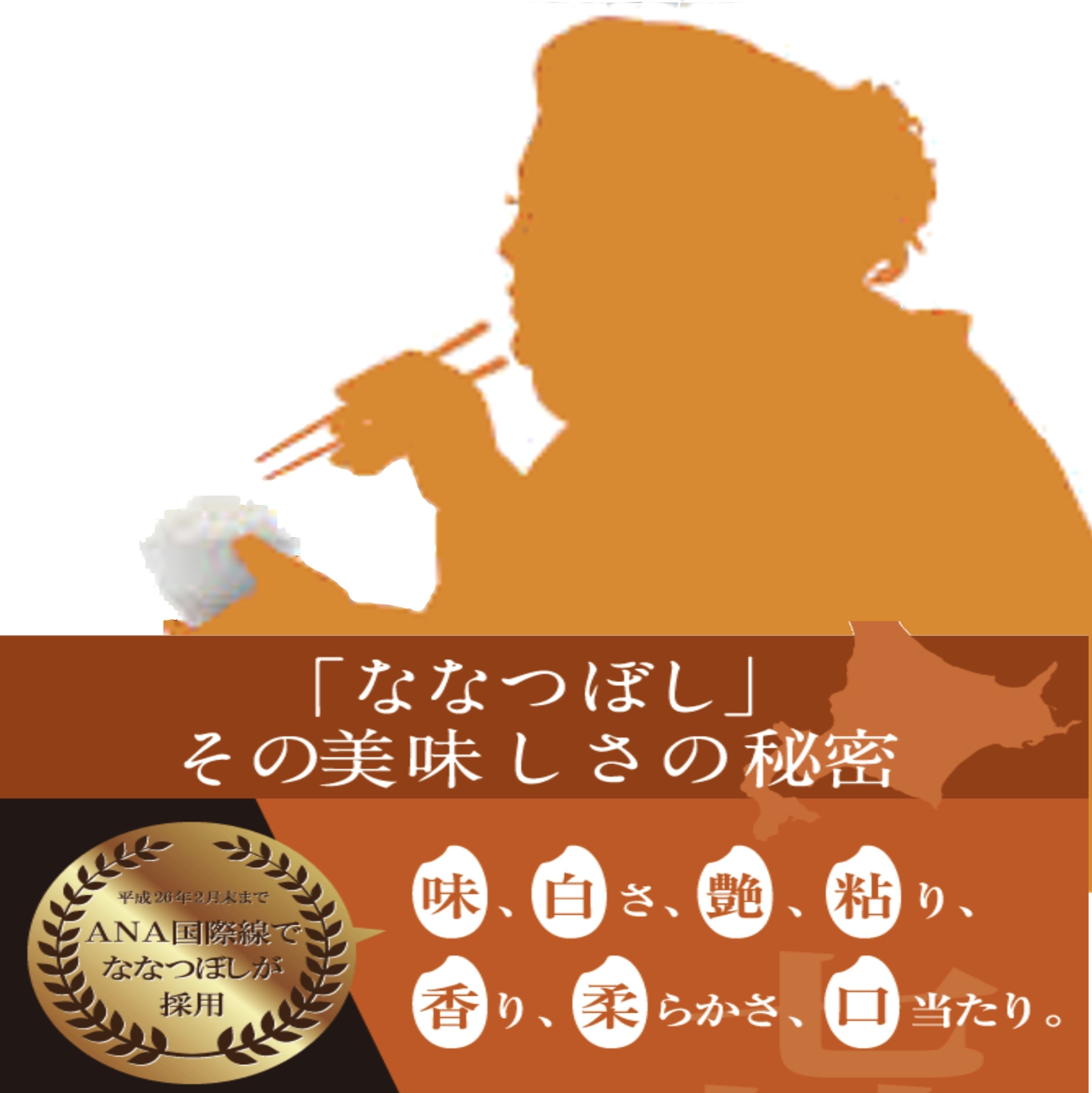 令和元年【北海道産】ななつぼし 玄米10kg