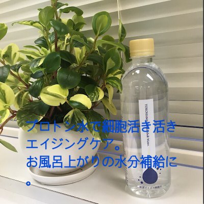 お得な定期配送便|横濱プラズマ解離水|24本入《2ケース》