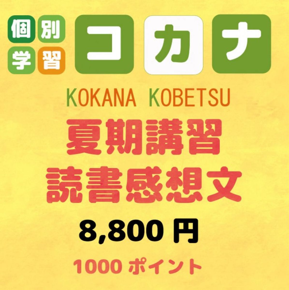【現地払い専用】夏休み楽々読書感想文講座