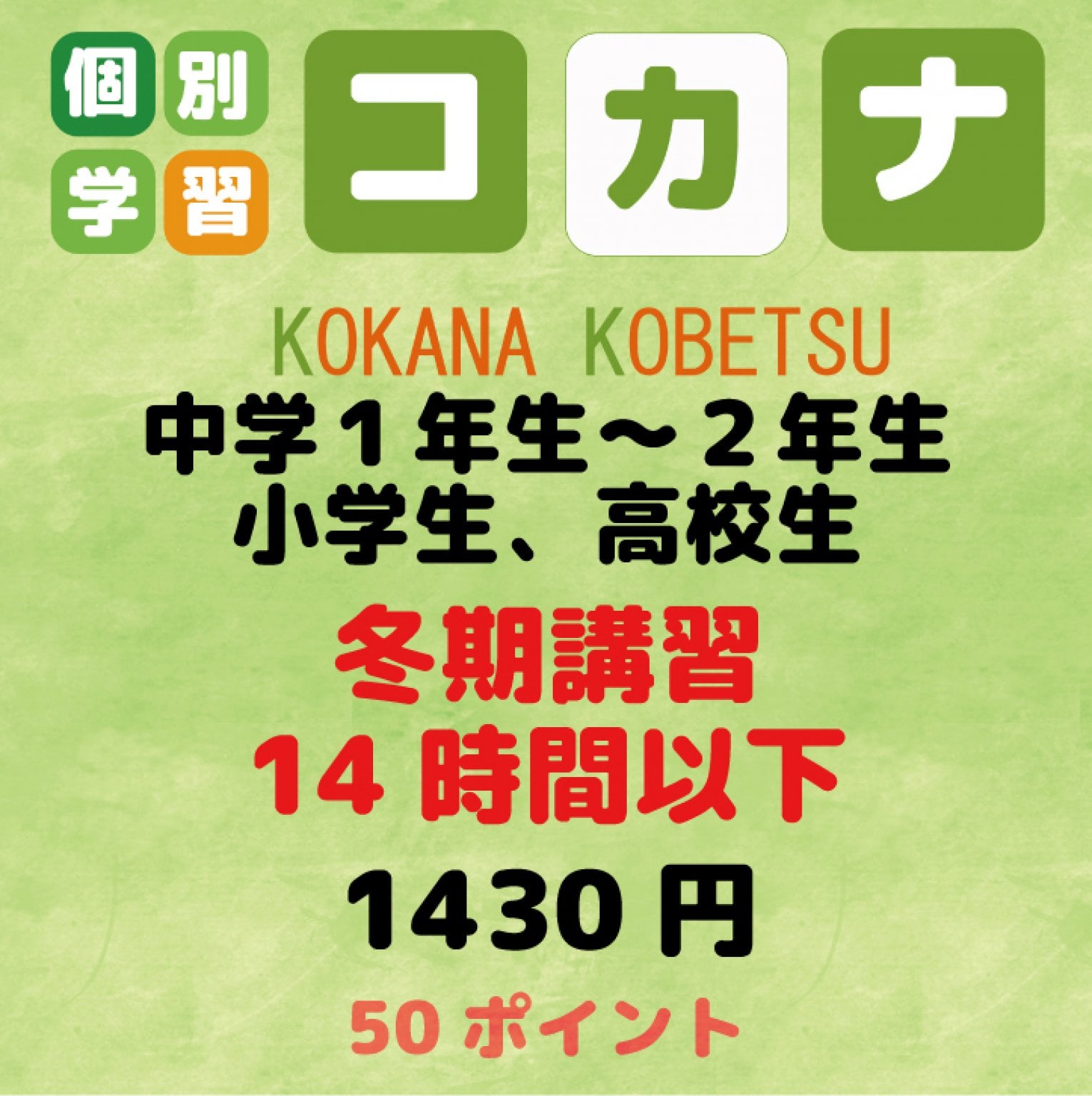 【現地払い専用】小学生、中学１年生～２年生、高校生　冬期講習　14時...