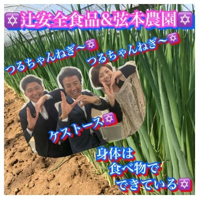 【ツクツク限定/高ポイント還元】送料無料/アートテンつるちゃんねぎ5束&高純度ケストース100/腸内環境改善で毎日絶好腸セット