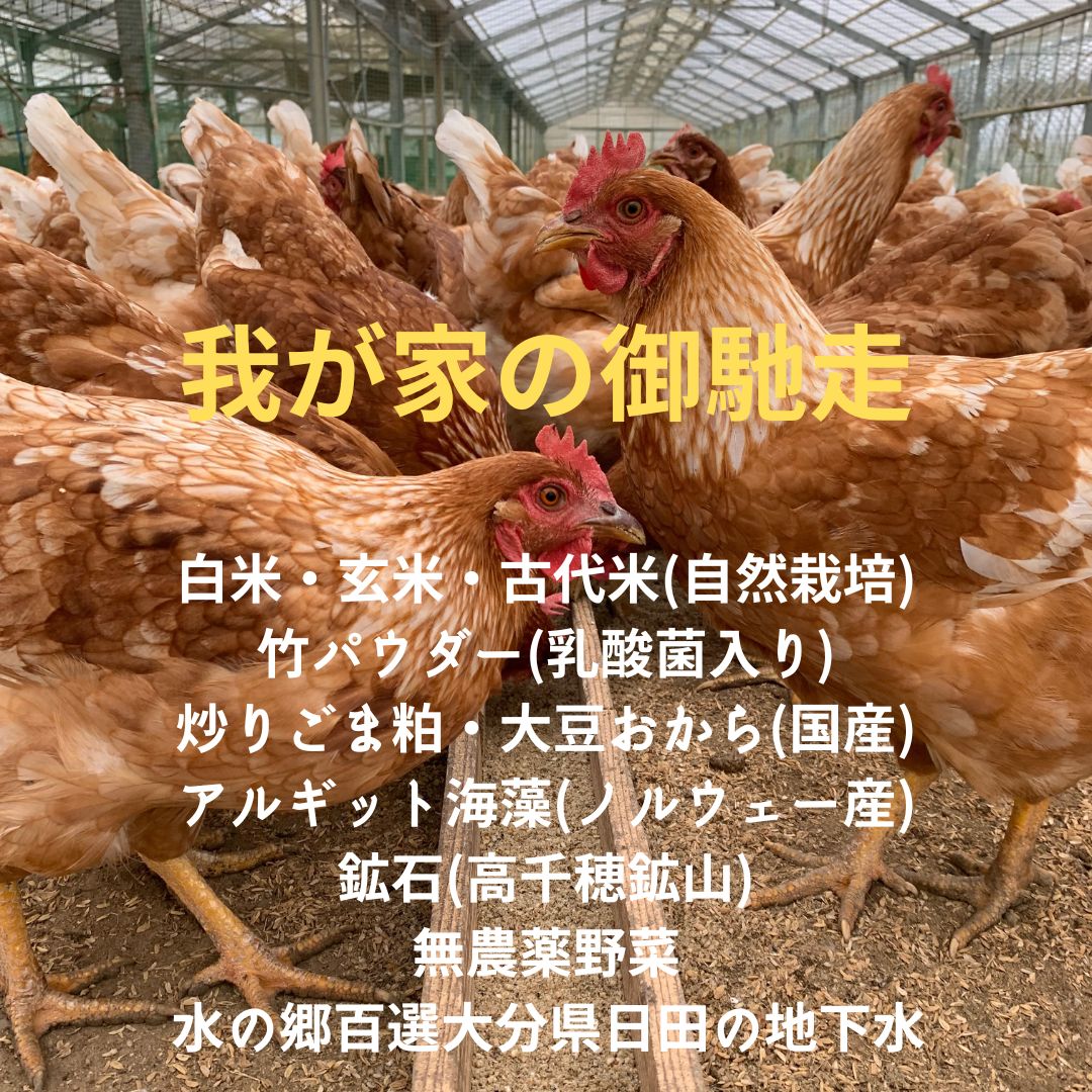 アートテンスペースエッグ/純国産もみじ平飼い卵/1パック6個入り