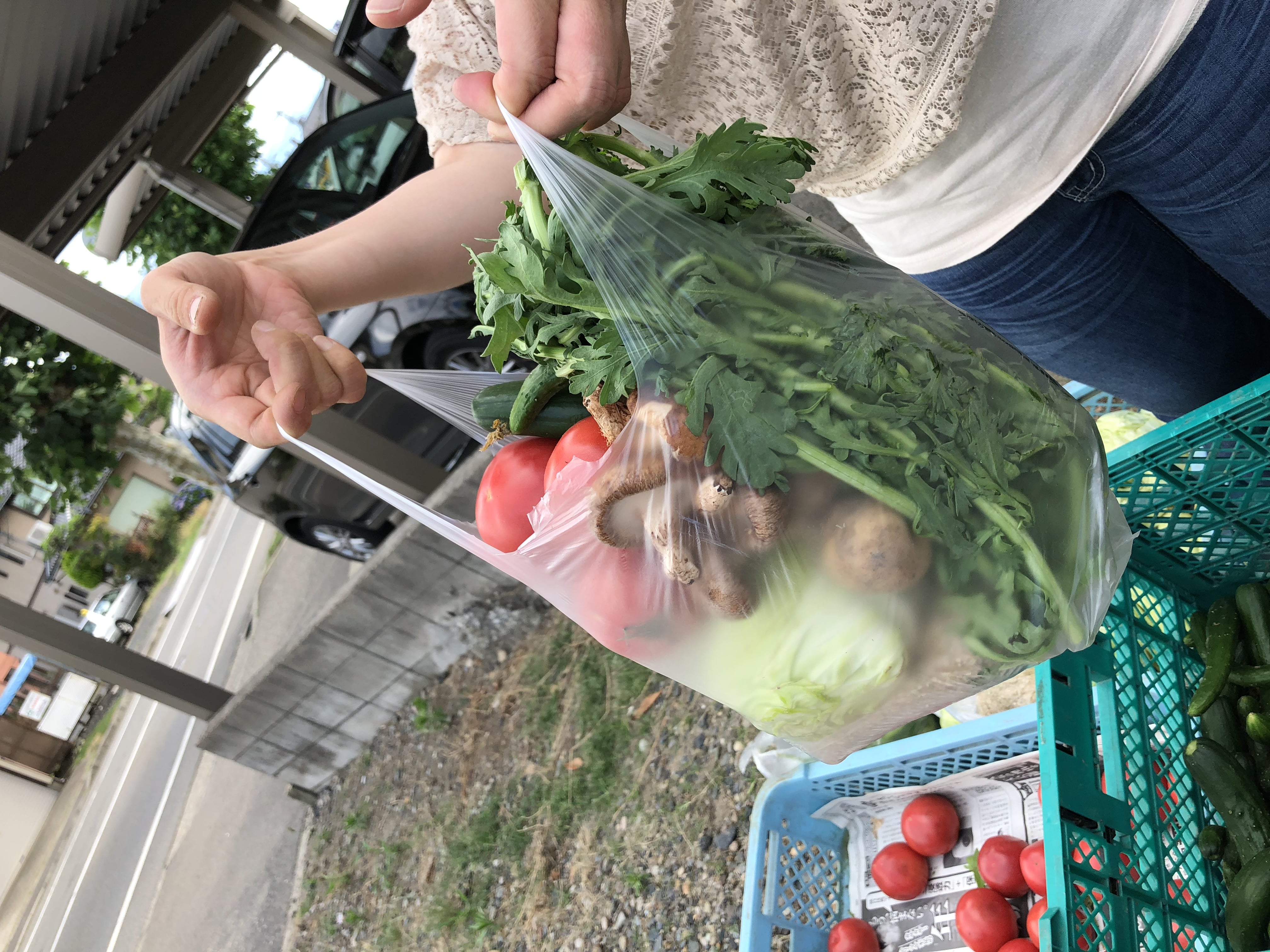 駅南マルシェ限定 野菜詰め放題500円 Veg Co ベジアンドコー ツクツク ウェブチケット モバイル コトの通販サイト 体験を買える