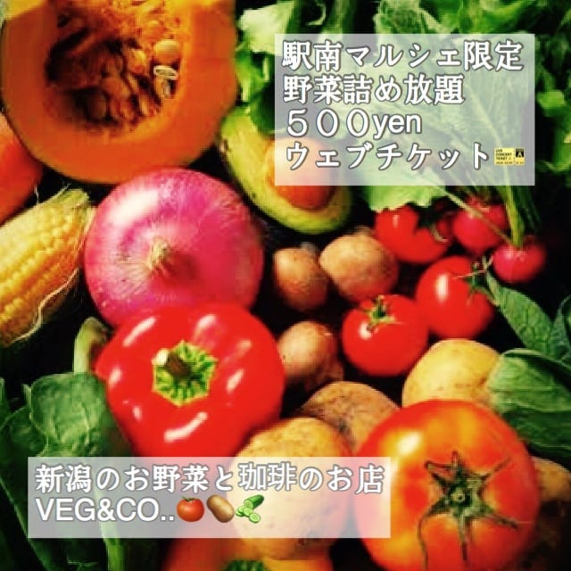 駅南マルシェ限定 野菜詰め放題500円 Veg Co ベジアンドコー ツクツク ウェブチケット モバイル コトの通販サイト 体験を買える
